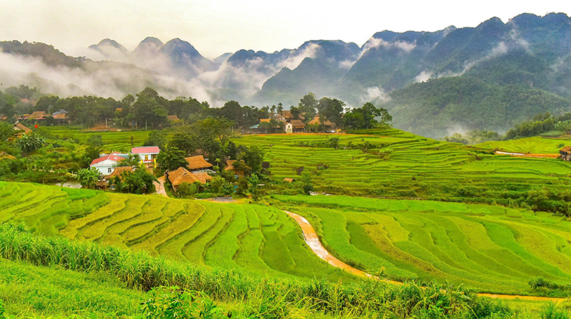 “Tất cả đời ta, tất cả sức ta, ta đã hiến dâng cho sự nghiệp cao đẹp nhất...”